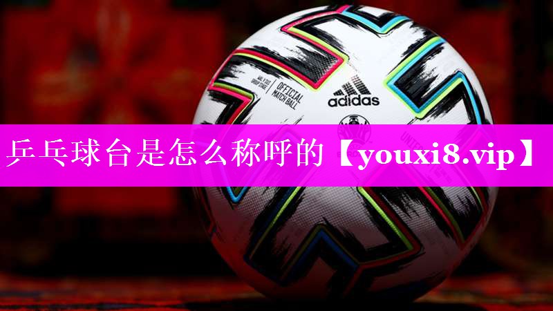 乒乓球台是怎么称呼的