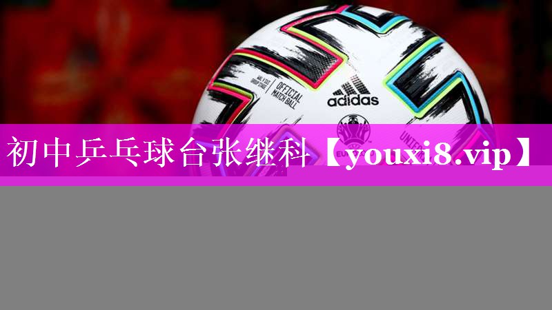 初中乒乓球台张继科
