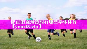 便宜的篮球器材有哪些华体体育