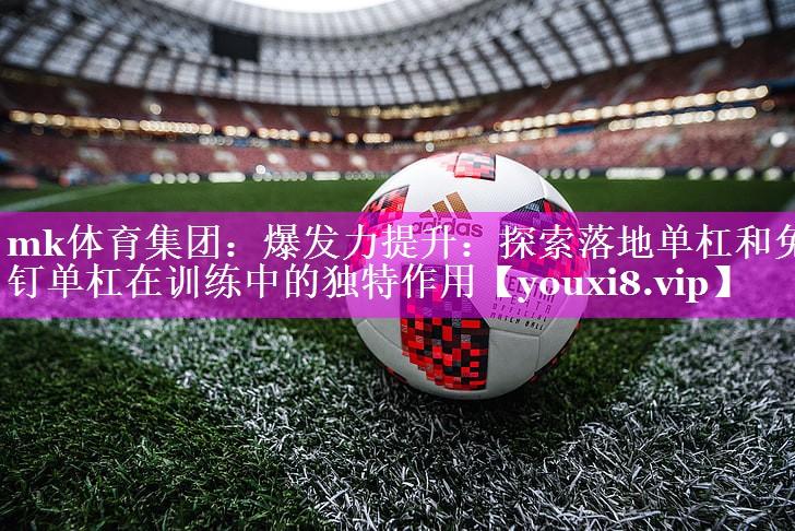爆发力提升:探索落地单杠和免钉单杠在训练中的独特作用 爆发力提升:探索落地单杠和免钉单杠在训练中的独特作用